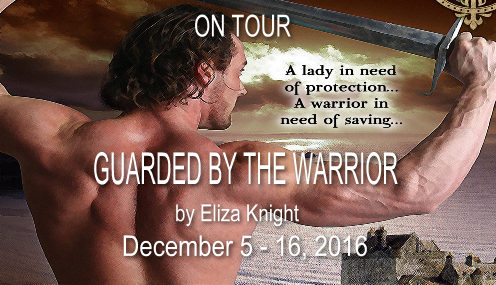 guarded-by-the-warrior-tour-banner